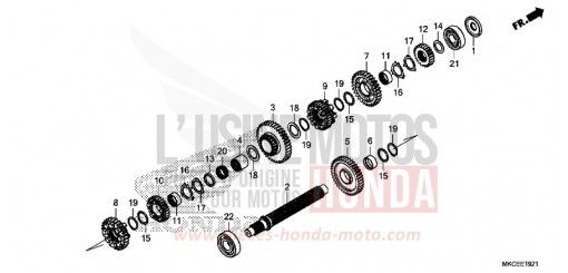 BOITE DE VITESSES (ARBRE INTERMEDIAIRE) (DCT) GL1800DAK de 2019